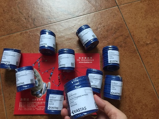 土耳其 KASTAS密封圈 KASTAS油封